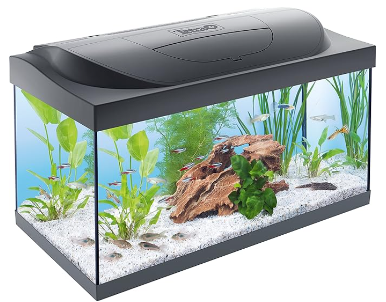 Aquarium Aquarium Tetra Starter Line