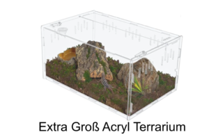Extra Groß Acryl Terrarium