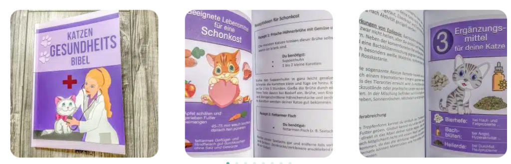 Katzen Gesundheitsfibel Katzen Gesundheitsfibel