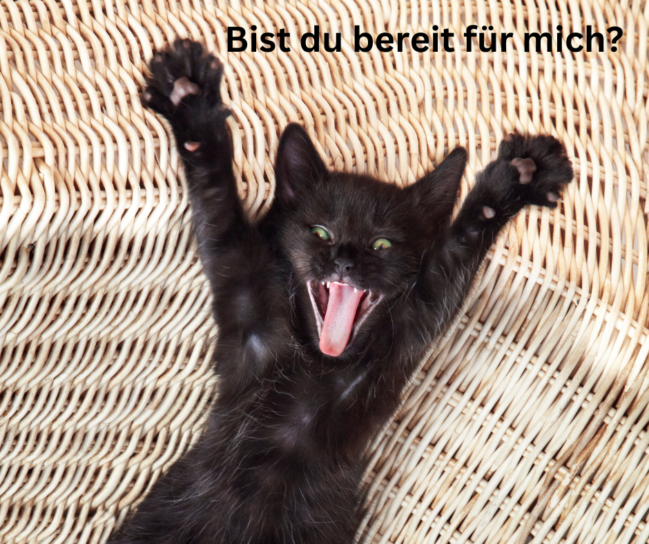 Bist du bereit für mich