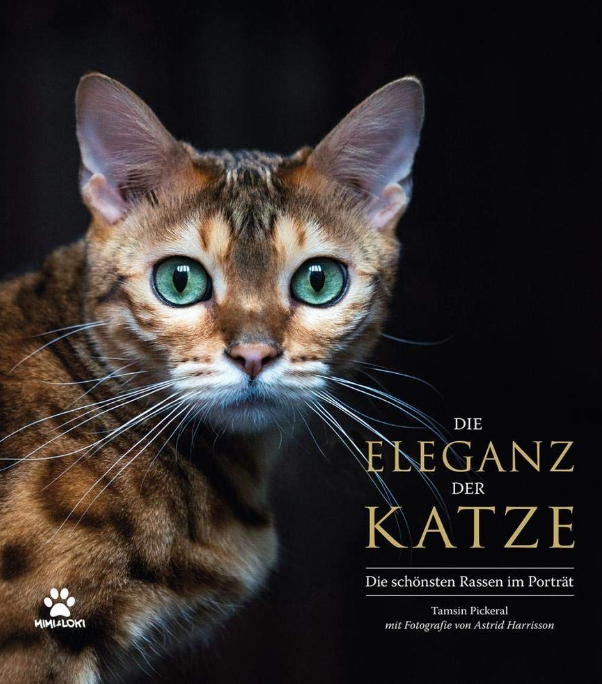 Die schönsten Katzenrassen Die schönsten Katzenrassen