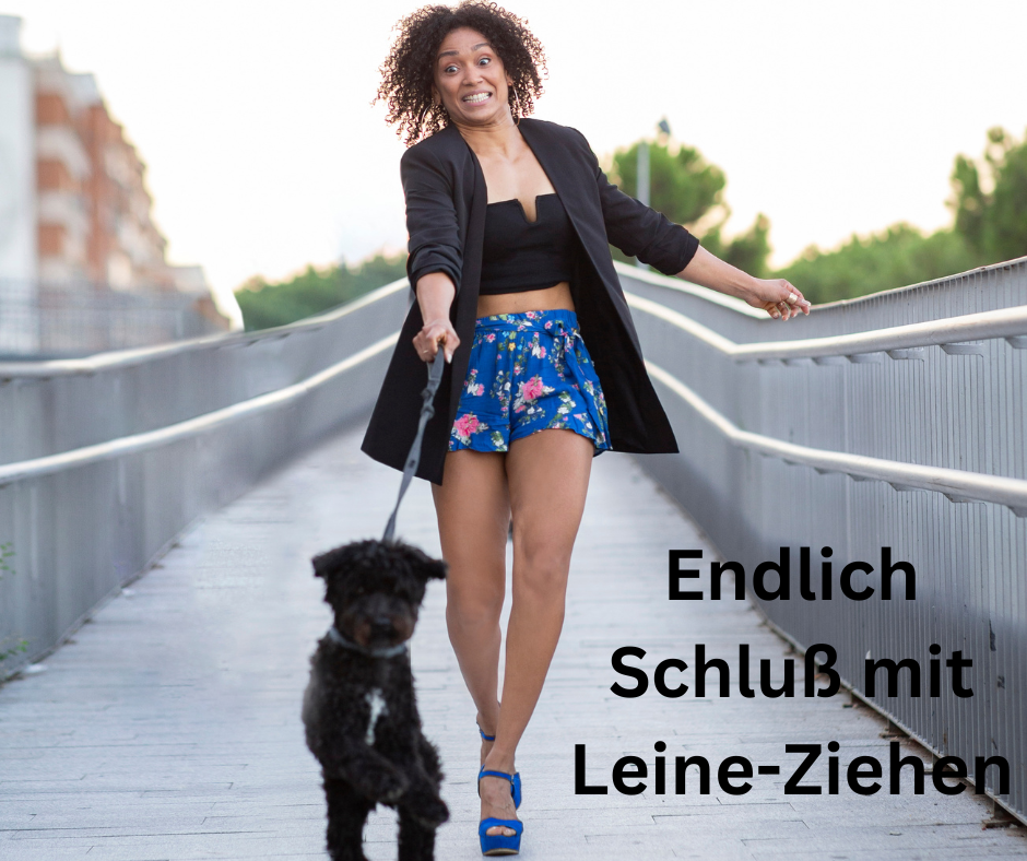 Leinenführung Endlich Schluß mit Leine-Ziehen