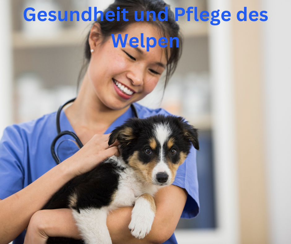 Gesundheit und Pflege des Welpen Gesundheit und Pflege des Welpen