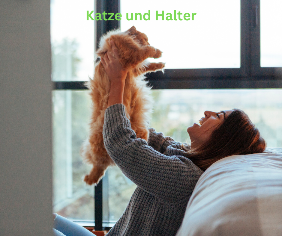 Katze und Halter