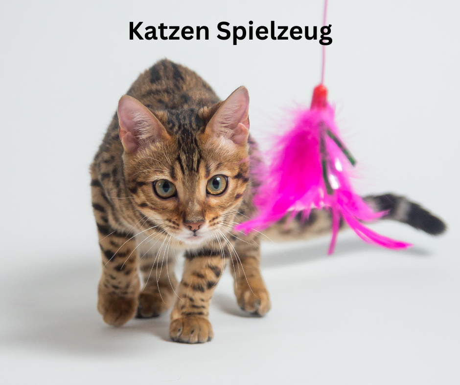 Die erste Katze Katzen Spielzeug