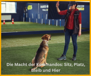 Die Macht der Kommandos: Sitz, Platz, Bleib und Hier