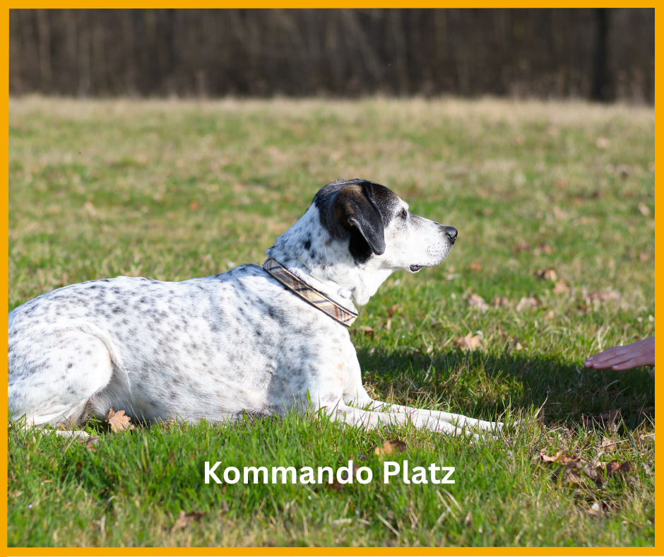 Kommando Platz Kommando Platz