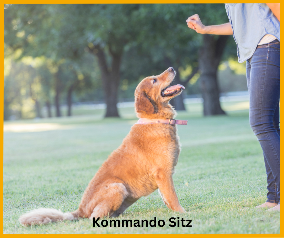 Kommando Sitz Kommando Sitz