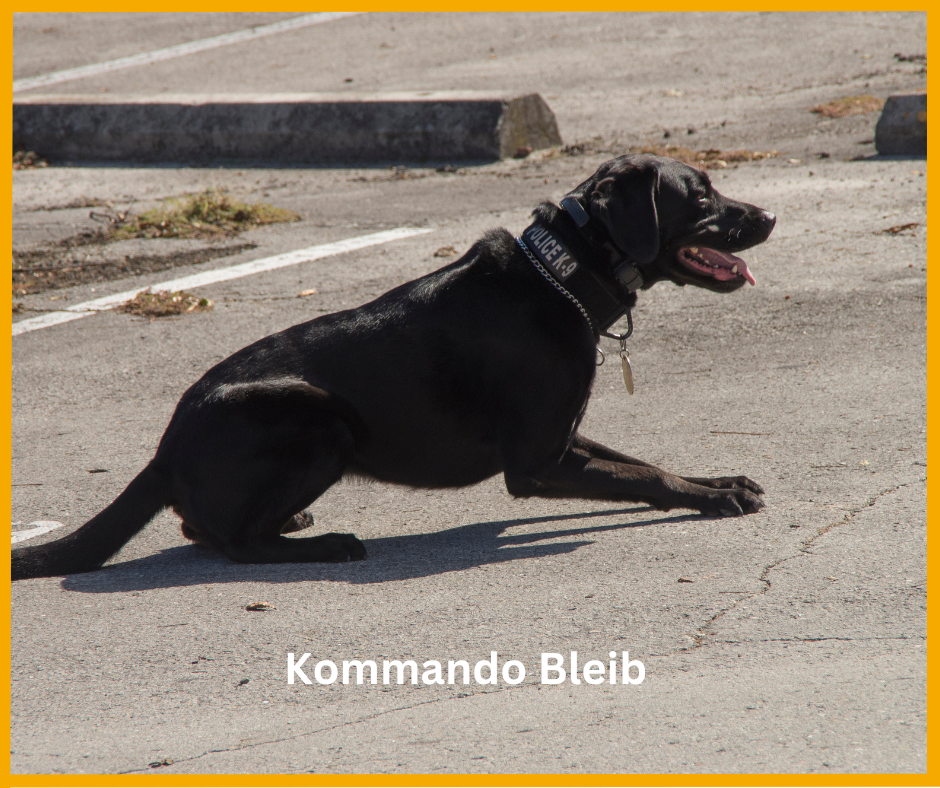 Kommandos Kommando Hier