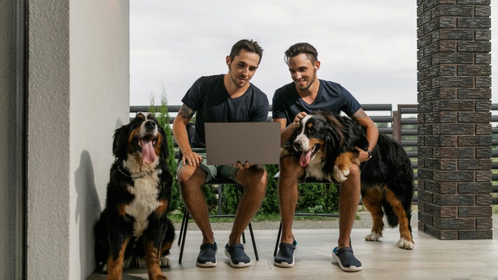 Rückruftraining: Schlüssel zur Sicherheit und Harmonie mit Ihrem Hund