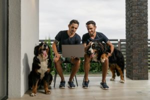 Rückruftraining: Schlüssel zur Sicherheit und Harmonie mit Ihrem Hund