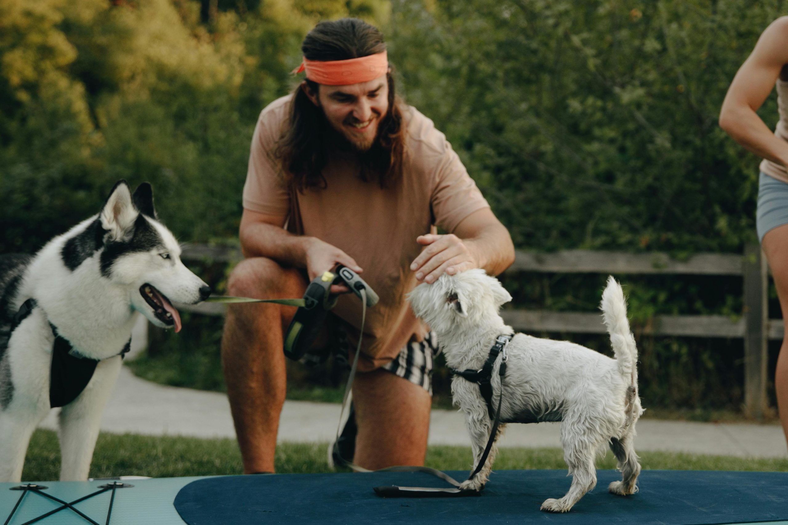 Kostenloses Stock Foto zu bandana, bezaubernd, braunes hemd